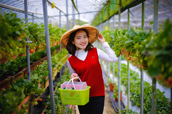美联储开启降息进程后国际金价先涨后跌，年内涨幅超25%，短期回调后或仍维持强势